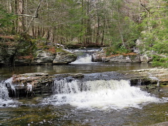 picture taken during a hike