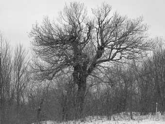 picture taken during a hike