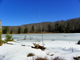 picture taken during a hike