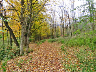picture taken during a hike