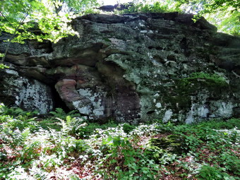 picture taken during a hike