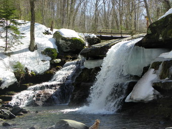 picture taken during a hike