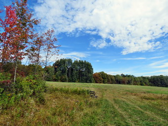 picture taken during a hike